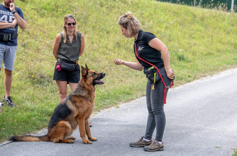 Éducation canine — accompagnement Pop'educ
