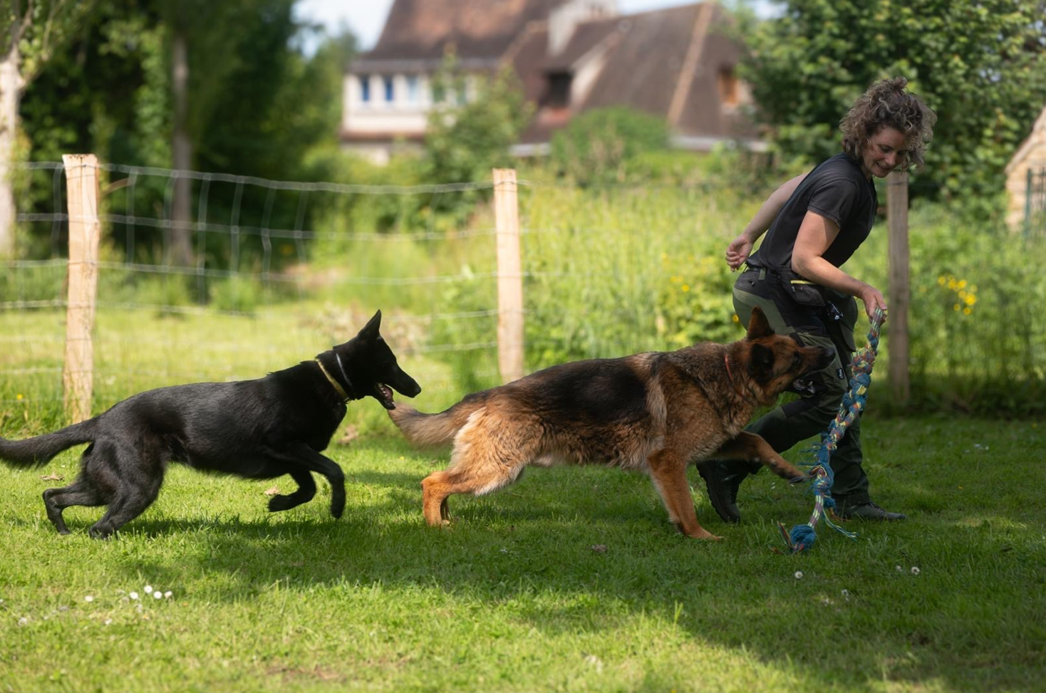 Loisirs et perfectionnement canine — accompagnement Pop'educ